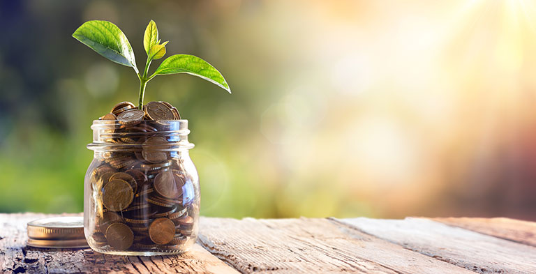 Glass full of coins with plant