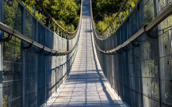 Financial distress – The board’s role