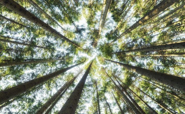 People, planet and performance: Embracing ESG