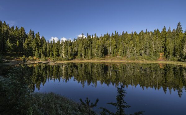 Création de partenariats avec les communautés autochtones
