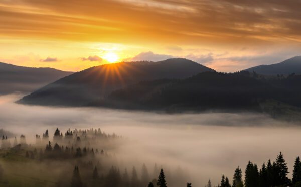 Perspectives juridiques Osler 2023