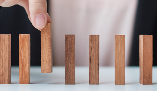 small finger-sized wooden pillars stood upright in a row