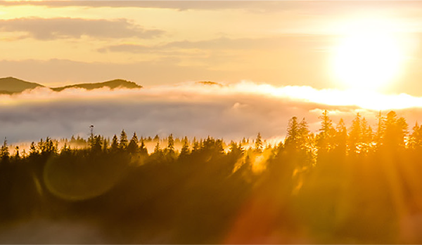 Place à Perspectives juridiques