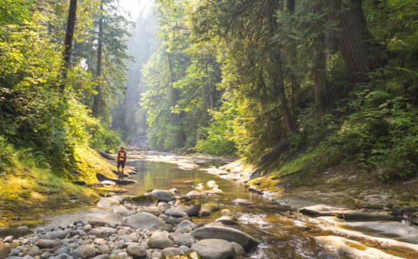 Regulation of ‘forever chemicals’ (PFAS) in Canada