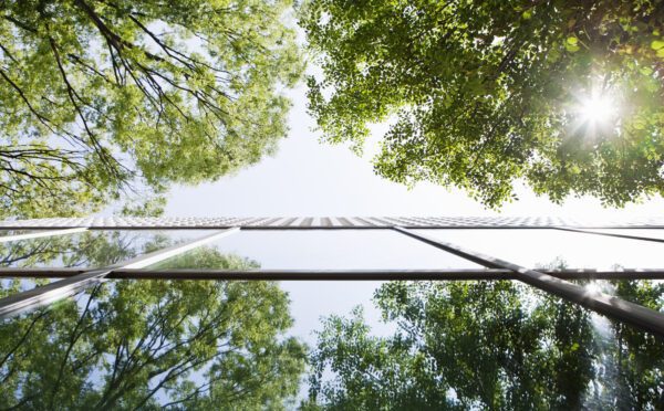 Deceptive marketing provisions continue to be enforcement priority