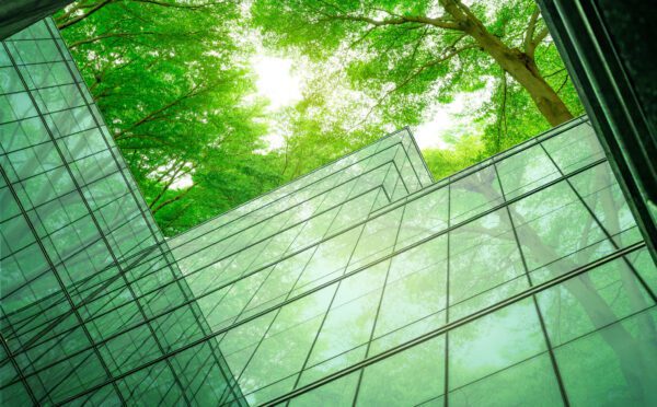 Progressive changes in a historic year for capital markets activity