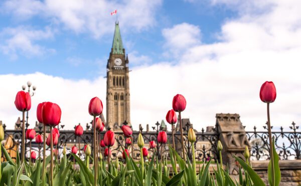 Federal budget briefing 2024