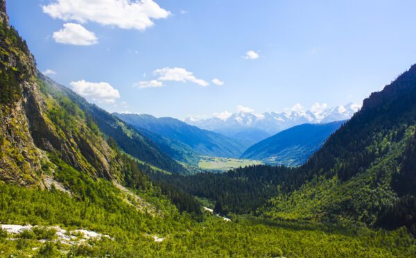 Regards sur le droit autochtone : Projets menés conjointement avec des entreprises privées autochtones, et examen des cas donnant naissance à l’obligation de consulter de l’Ontario