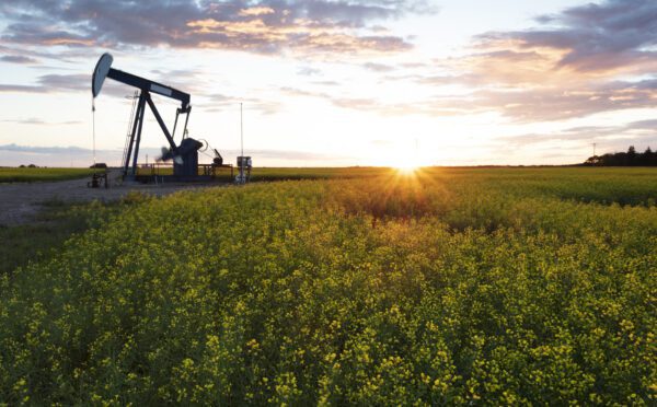 Directorial responsibility for end-of-life oil and gas liabilities