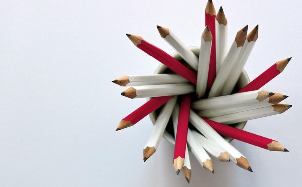 2018 Diversity Disclosure Practices