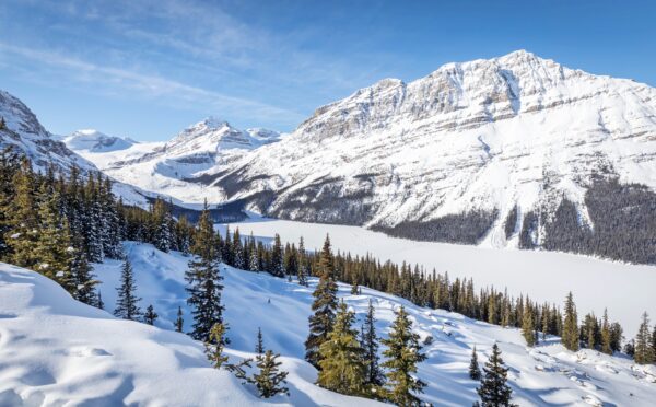 Regards sur le droit autochtone : Rétrospective de l’année et perspectives pour 2025