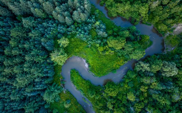 New hearing ordered for historic youth-led Charter challenge to Ontario’s Cap and Trade Cancellation Act