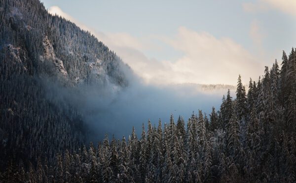 Principales mises à jour juridiques sur les droits des Autochtones