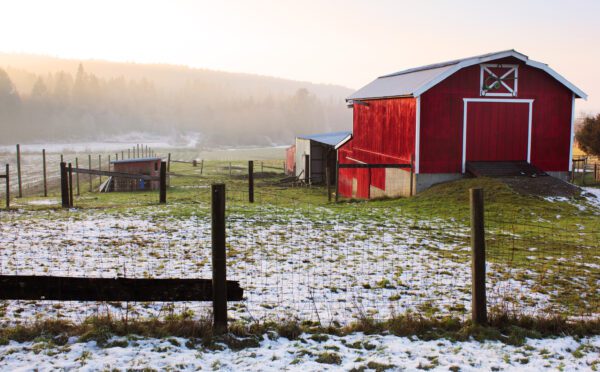 Some things last forever: Government of Canada proposes regulatory measures for PFAS