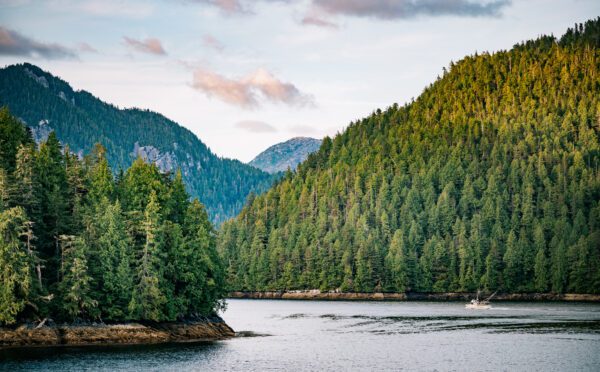 Traitement des revendications lorsqu’il y a chevauchement des droits et des titres de propriété autochtones