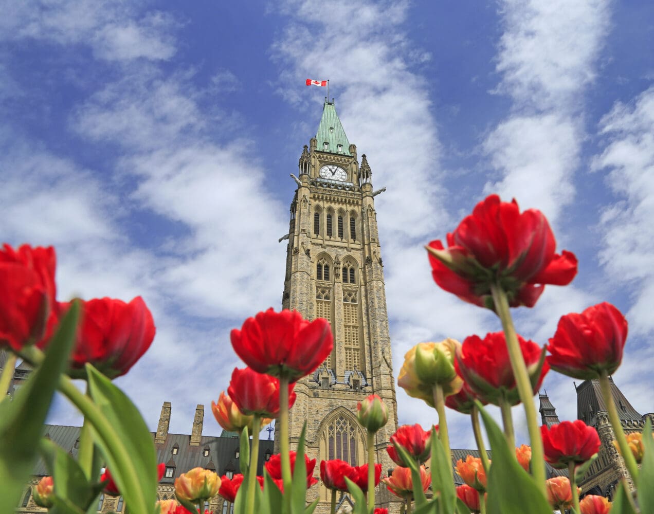 Spring Economic Update 2026