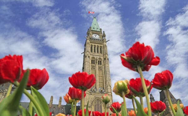 Spring Economic Update 2026